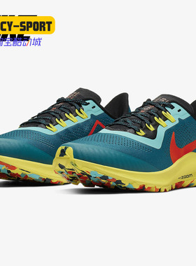 Nike/耐克正品 19新款 PEGASUS 36女子运动休闲跑步鞋 AR5676-301