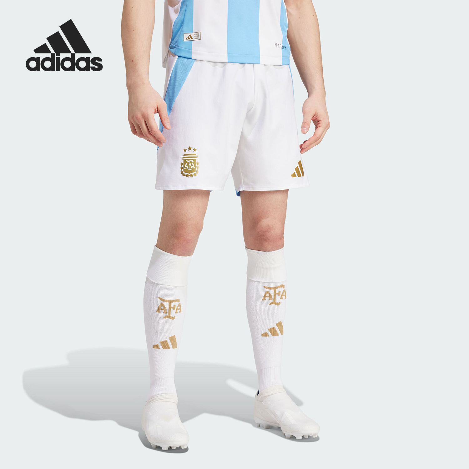 Adidas/阿迪达斯官方正品阿根廷主场球员版男士足球短裤IN6928