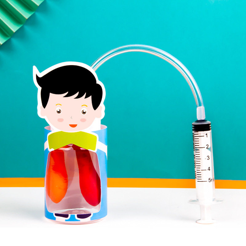 科学实验幼儿园膈肌运动模型教具简易模拟人体肺呼吸运动学生手工