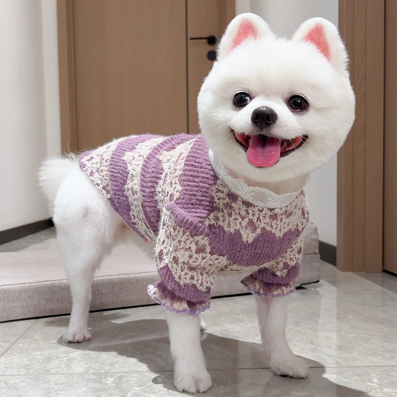 宠物狗狗猫咪衣服饰秋冬款蕾丝加绒宠物打底衫蕾丝宫廷风跨境