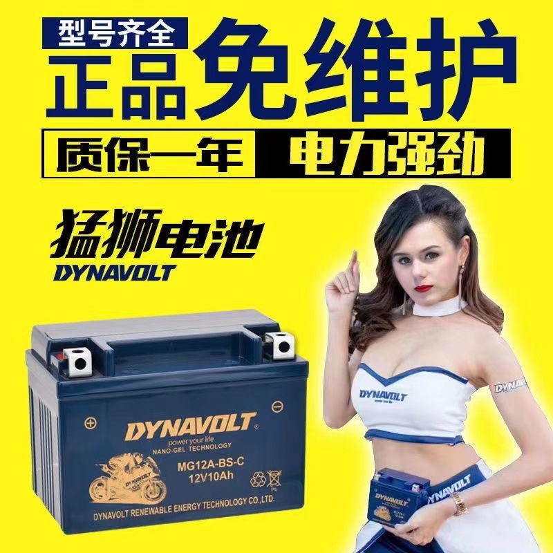 宝马G310GS电瓶12V猛狮蓄电池