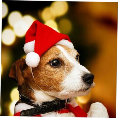 Decorate decoration pet Santa hats for Christmas 宠物圣诞帽