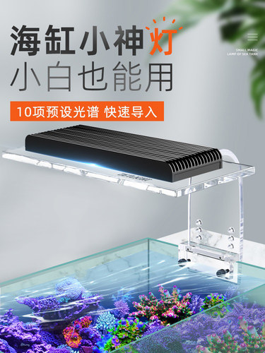 珊瑚灯积光1201全光谱日出日落