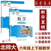 新华正版 2025使用小学6六年级上下册数学北师大版 全套课本教材教科书六年级数学书上下册北师版 6六上下北京师范大学出版 社