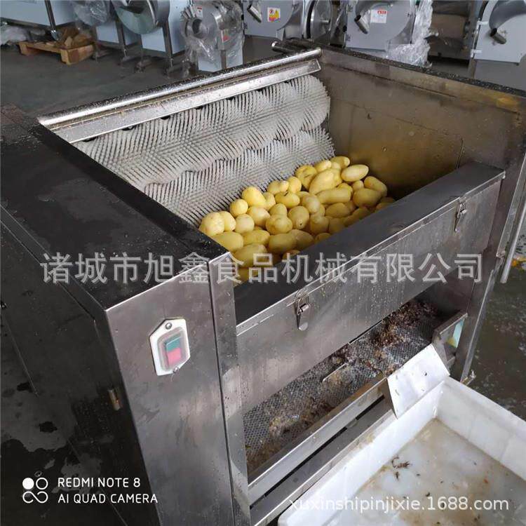 设旭鑫现货自动毛辊去皮洗机各类瓜果蔬清菜SEB洗机去杂土清清洗