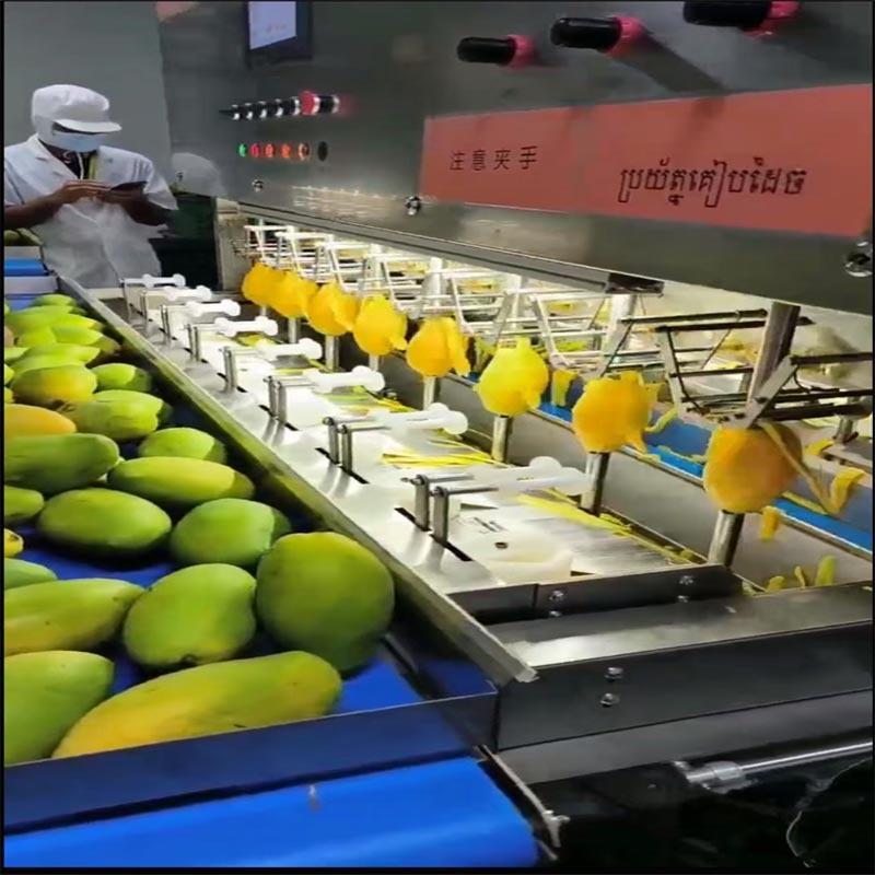 全自动芒果去皮机红薯萝卜芋头削皮机水果去皮取核机苹果去皮机