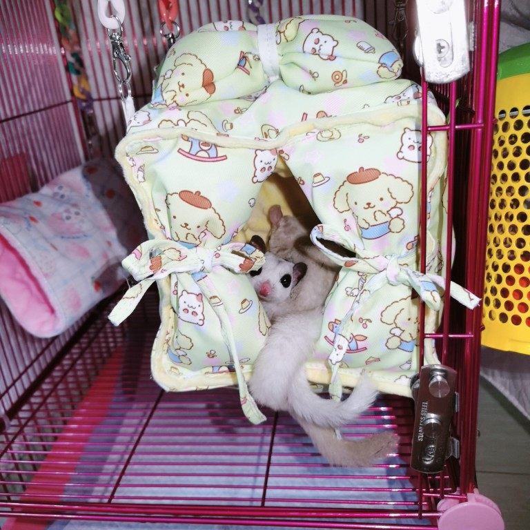 纯手工蜜袋鼯宠物棉窝吊床狗狗公主房四季花枝鼠貂猫窝通用简易款