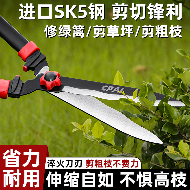 园艺剪刀果树修花剪园林修枝剪修剪草坪专用绿篱剪树枝修剪强力剪,鲜花速递/花卉仿真/绿植园艺,剪刀,淘宝优惠券,粉丝福利购,淘宝优惠卷