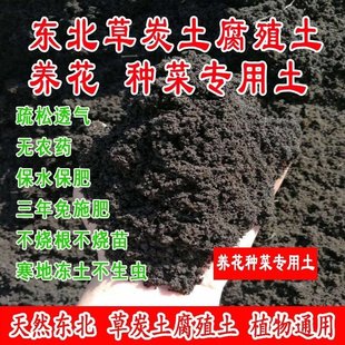 月季酸性腐叶腐殖土腐熟纯落叶松针杜鹃君子兰营养花土嚷天然有机