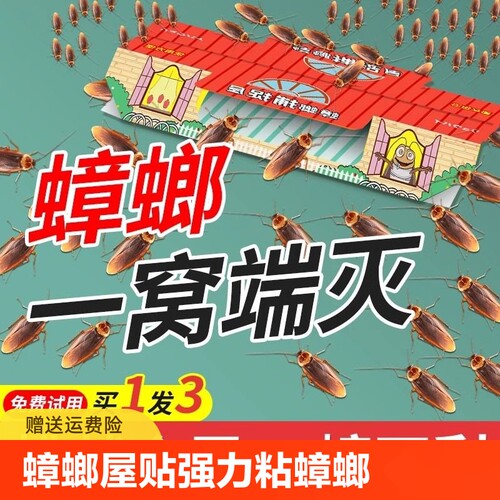 蟑螂屋贴强力粘小药一窝端