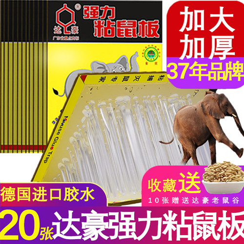 达豪强力胶粘鼠板超大号聪