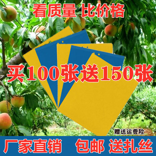 粘虫板黄双面特蓟马蓝诱果
