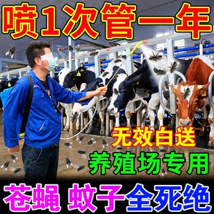 空战卫苍蝇药养殖场家用室内菜市场厕所无味喷雾一扫光灭蝇王蚊子