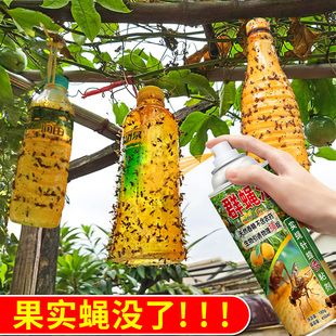 群蝇汇瓜果实蝇诱粘剂针蜂引诱剂防果蝇专用药昆虫杀虫黄板诱捕器