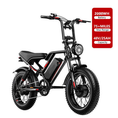 YIWU Free Freight 2000W EBike Lithium battery 48V25AH