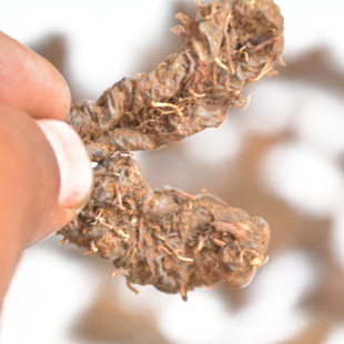 野生拳参 草河车中药材250克包邮紫参 草血竭 虾参 红蚤休 化骨莲