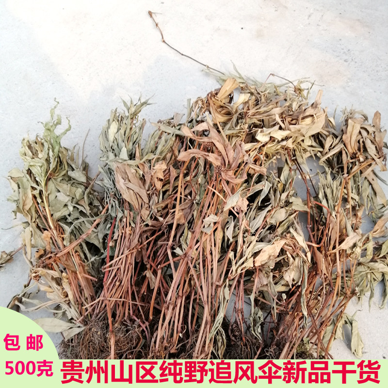 贵州中药材野生追风伞现晒干货草药惊风伞公接骨丹追风散500g包邮