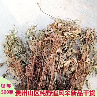 贵州中药材野生追风伞现晒干货草药惊风伞公接骨丹追风散500g包邮