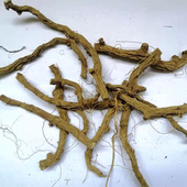 串地龙骨泡酒 包邮 贵州野生穿山龙穿地龙中药材正品 草药野生500克