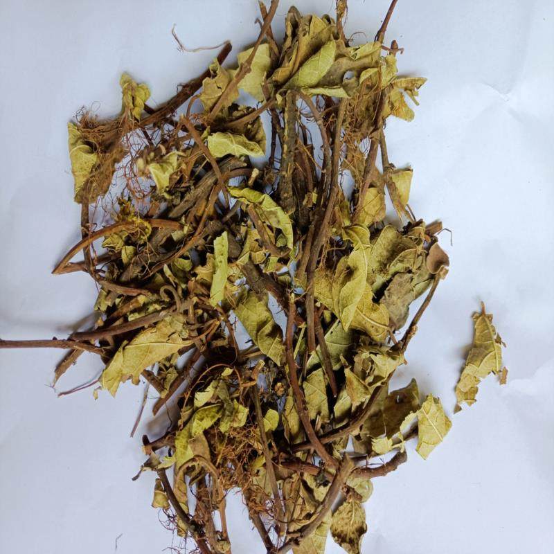 野生中药材地板藤 地瓜藤地石榴500克包邮野地瓜藤铺地蜈蚣钻地龙