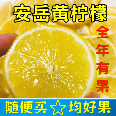 四川安岳黄柠檬尤力克品种新鲜