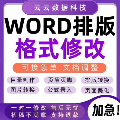 Word排版表格代做制作美化文档编辑文字录入格式修改PDF转换编辑