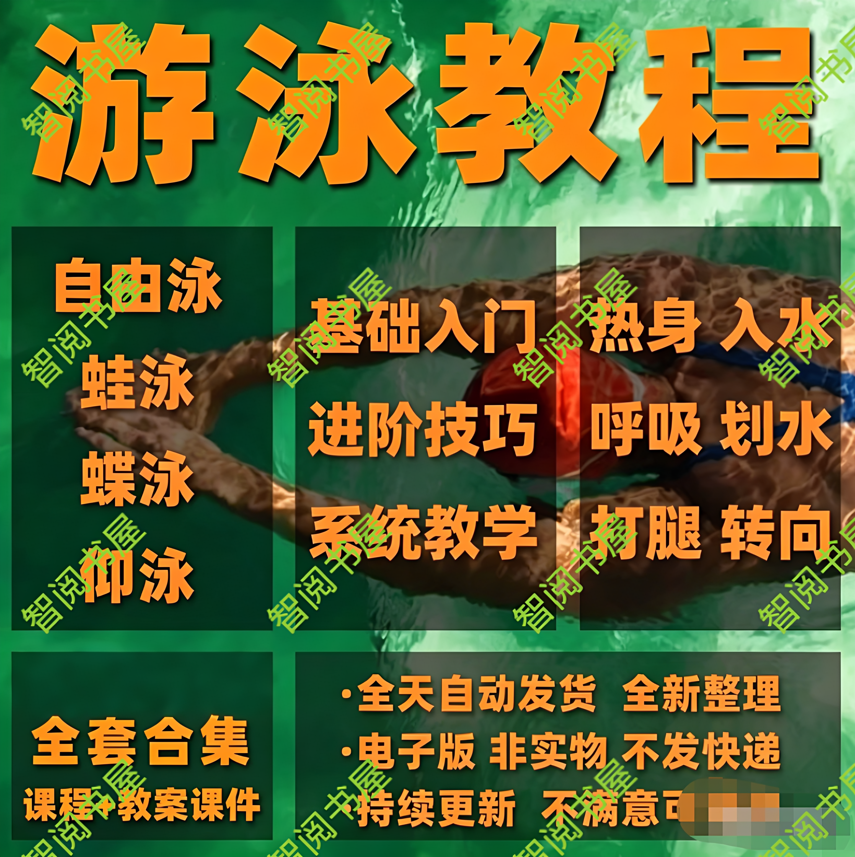 游泳教学教程自由泳蛙泳蝶泳仰泳训练技巧零基础自学视频课程教案