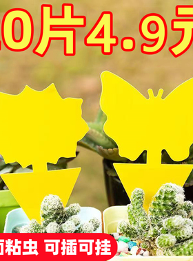 双面粘虫板黄板诱虫纸贴黄色小飞虫沾果蝇家用诱捕器粘板针蜂大棚