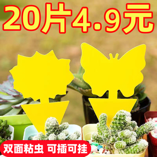 双面粘虫板黄板诱虫纸贴黄色小飞虫沾果蝇家用诱捕器粘板针蜂大棚
