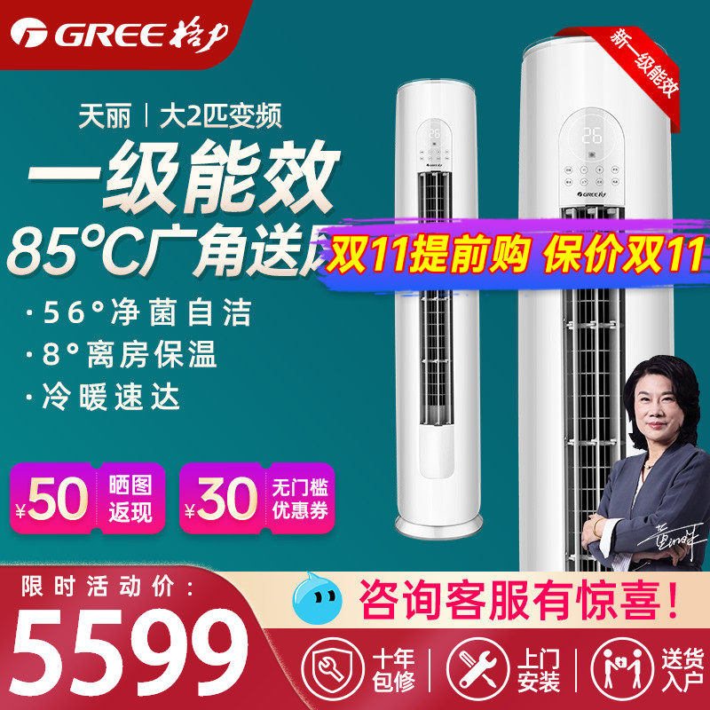 格力空调天丽立式2匹变频冷暖两用新一级家用客厅柜机官方旗舰店