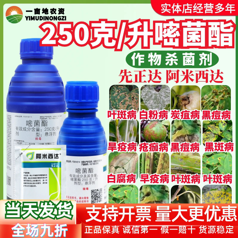 整箱先正达 阿米西达25%嘧菌酯 黄瓜黑星炭疽病番茄叶霉病杀菌剂