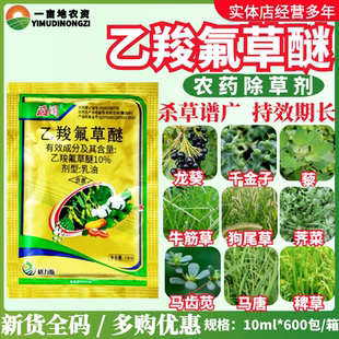 格力斯海阔10%乙羧氟草醚鬼针草婆婆纳麦家公除草剂农药