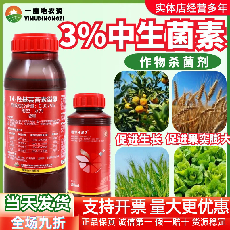 新朝阳硕丰481苔素内酯生长
