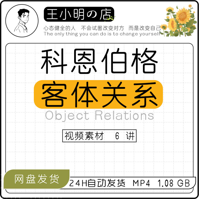解析科恩伯格客体关系理论视频心理学心理咨询理论自学客体关系课