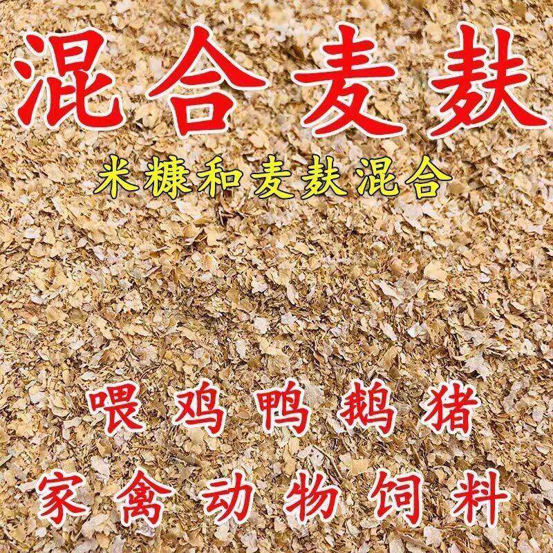 新鲜混合麸皮麦麸50斤喂