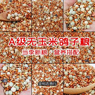 精品营养鸽粮无玉米鸟食饲料观赏鸽专用粮特价鸽子料