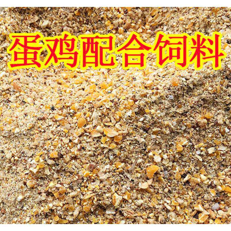蛋鸡饲料全价料下补钙农