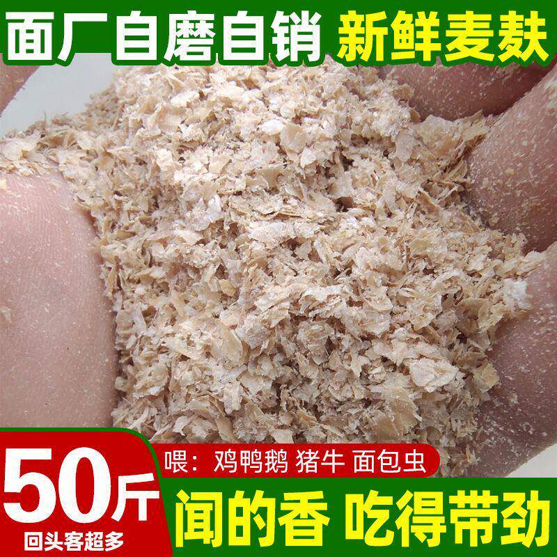 新鲜现磨小麦麸麸皮饲料