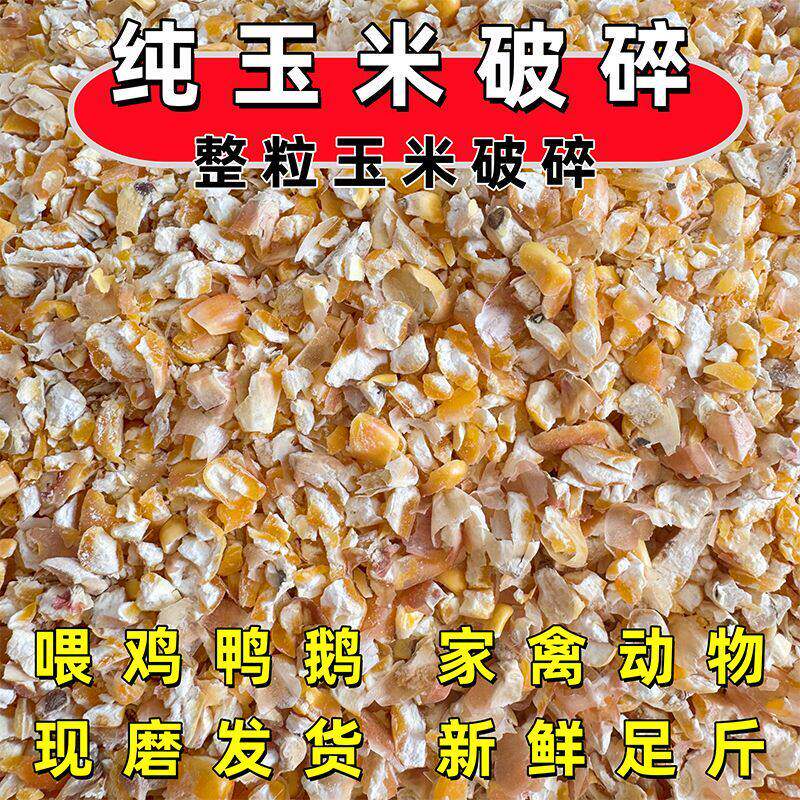 玉米碎原粮喂鸡鸭鹅鸽猪