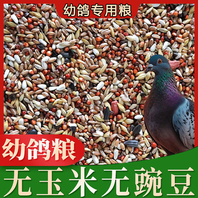 幼鸽鸽粮 无玉米无豌豆小鸽子小嘴鸽营养饲料信鸽鸟食鸽子粮鸟食