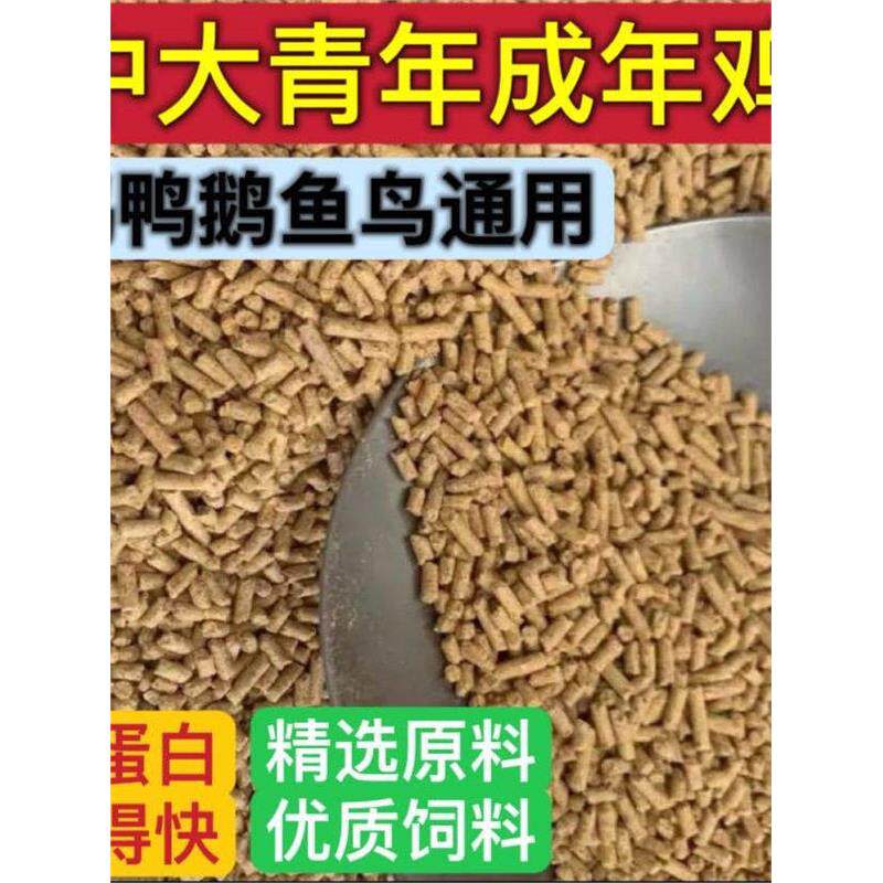 鸡饲料全价料中大颗粒鸡