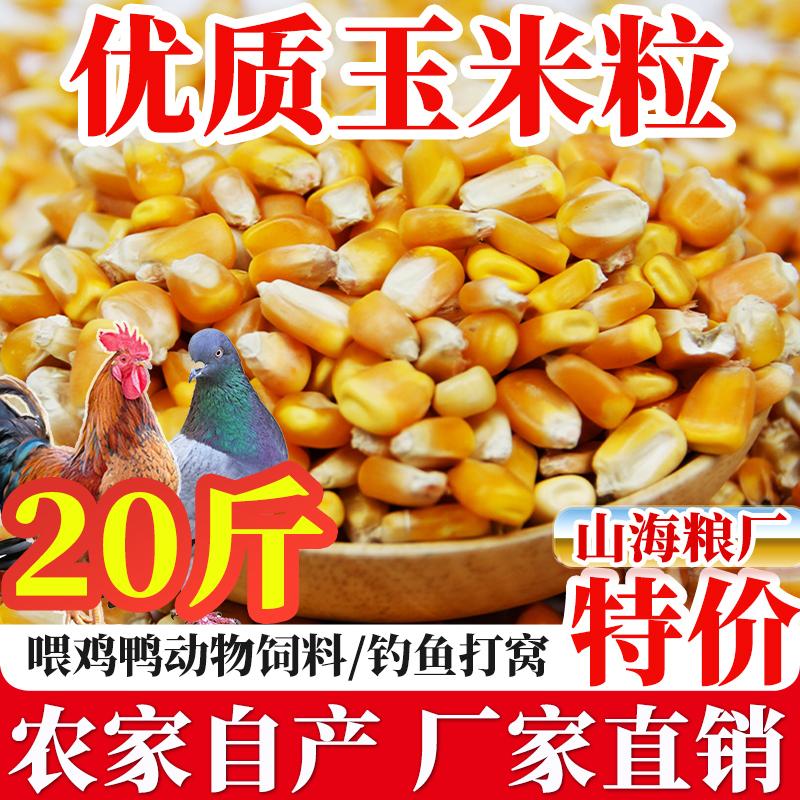 东北优质玉米粒特价中颗粒玉米干米喂鸽子鸡鸭鹅家禽动物粮食饲料