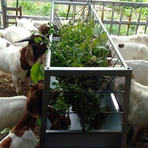 新型羊槽食槽带架子饮水铁不锈钢神器喂羊的料槽子工具牛羊用草槽