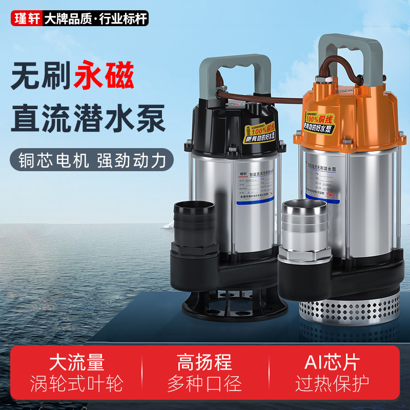插电瓶车永磁无刷直流潜水泵48V60V72V电动车农用抽水机灌溉家用