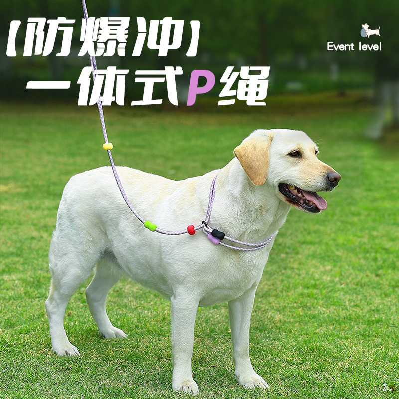 猫咪狗狗双环法斗防挣脱牵引绳
