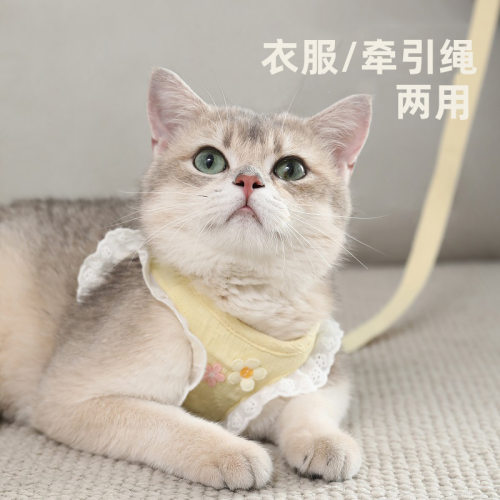 猫咪牵引绳防挣脱外出专用溜猫背心式背带小型犬小猫猫防丢遛猫绳