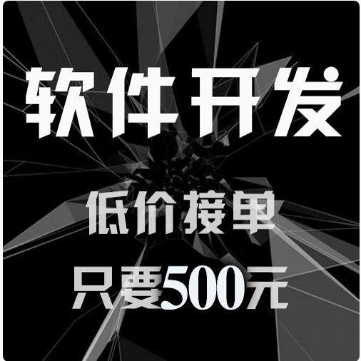 计算机设计软件工程系统开发代做java代码小程序python项目定制c#