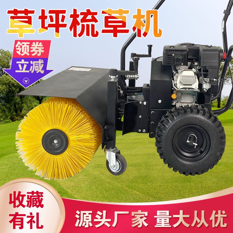 手推式人造草坪梳草机 常青园林机械现货供应小型刷草机 草坪整理