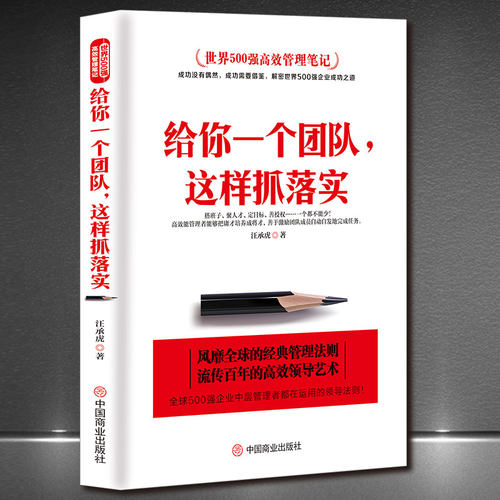 世界500强高效管理笔记《给你一个团队，这样抓落实》MBA管理高级课程 中层管理者领导法则 企业管理领导学领导力执行力书籍
