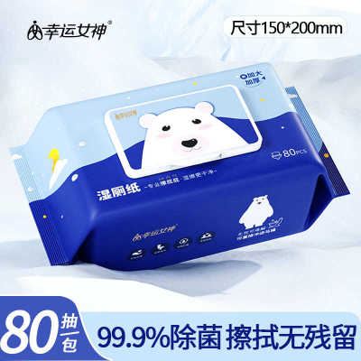 私处清洁家庭家用装擦屁股湿厕纸